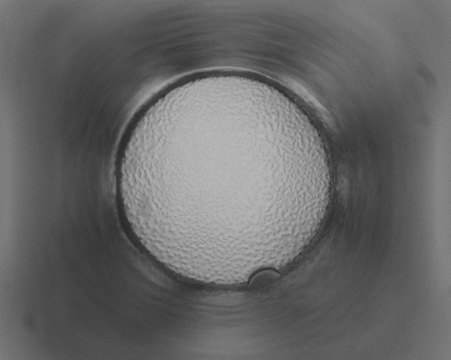X0000116421372200912291840