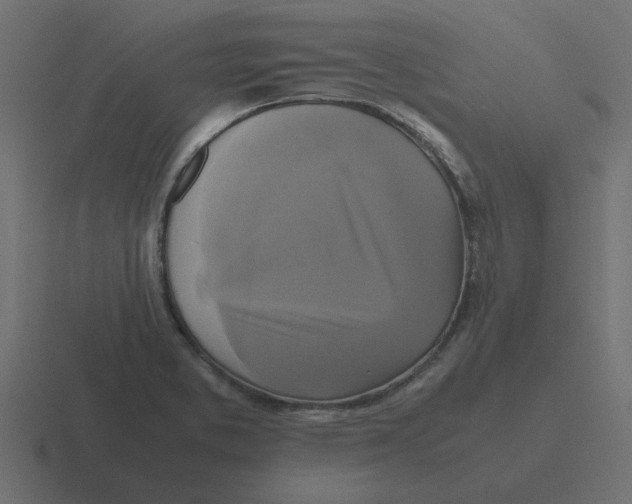 X0000116421373200912291840