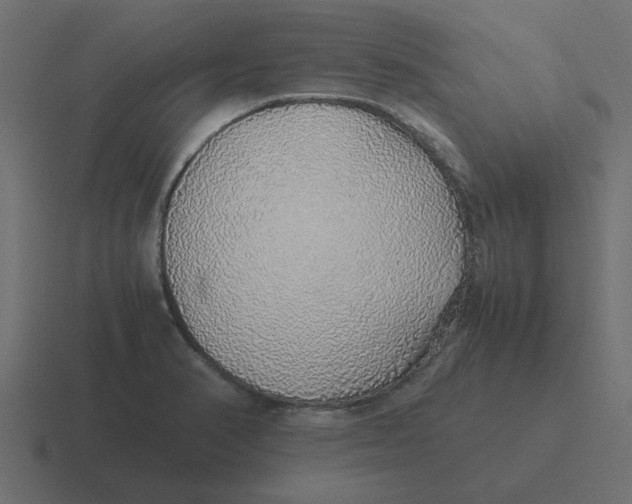 X0000116421374200912291840