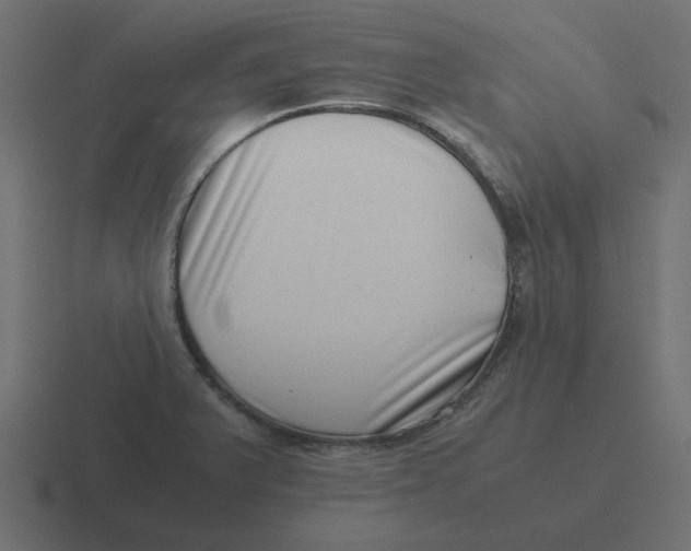 X0000116421375200912291840