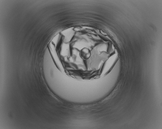 X0000116421377200912291840