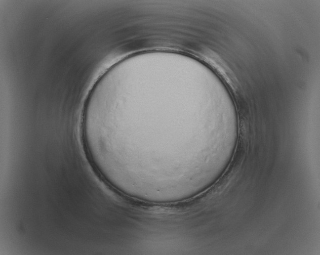 X0000116421379200912291840