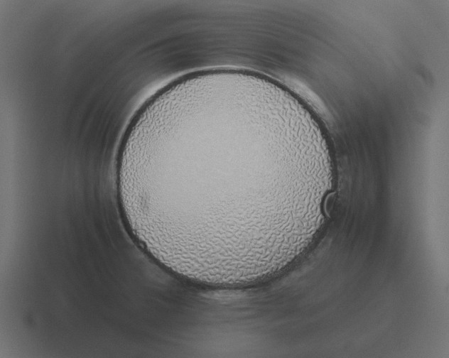 X0000116421380200912291840