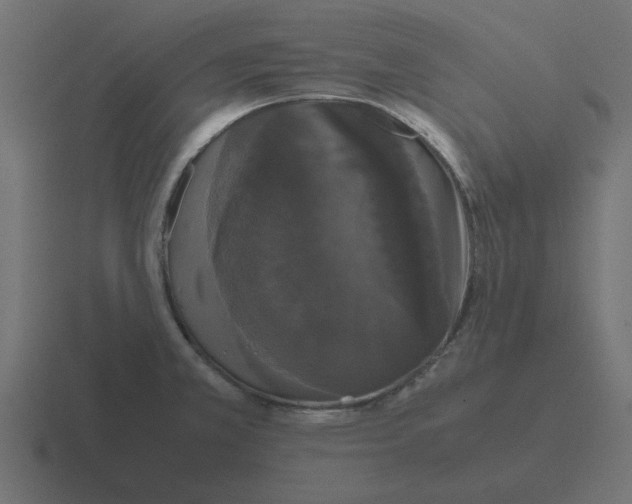 X0000116421381200912291840