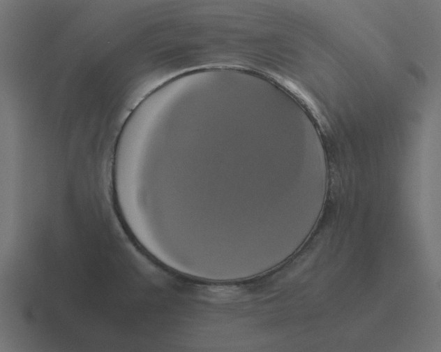 X0000116421383200912291840