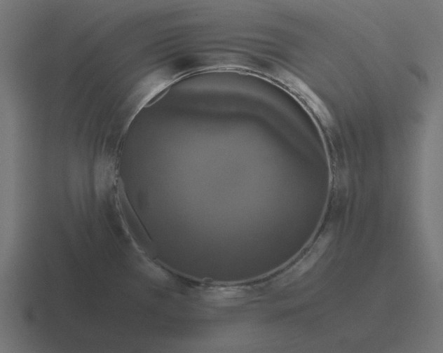X0000116421385200912291840