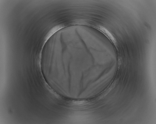 X0000116421386200912291840