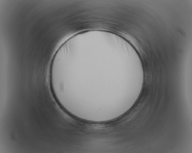 X0000116421387200912291840