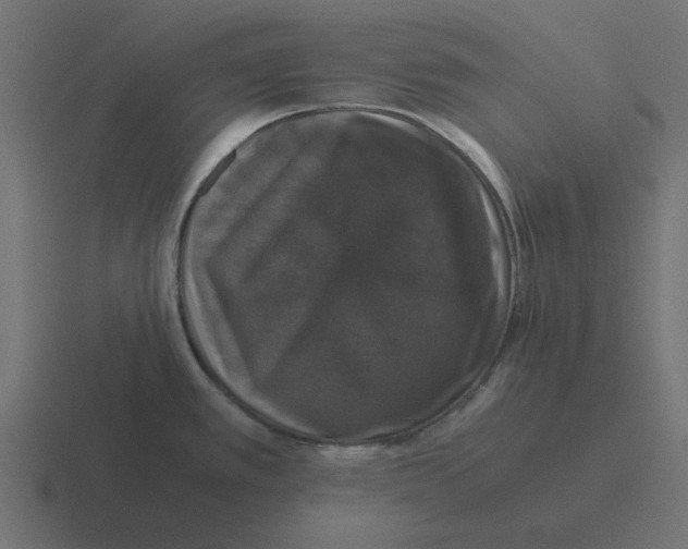 X0000116421389200912291840