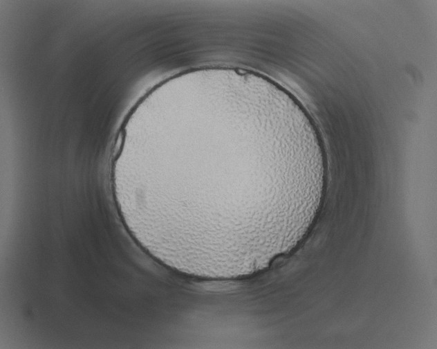 X0000116421392200912291840