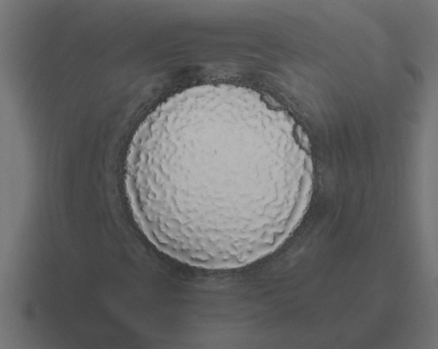 X0000116421393200912291839