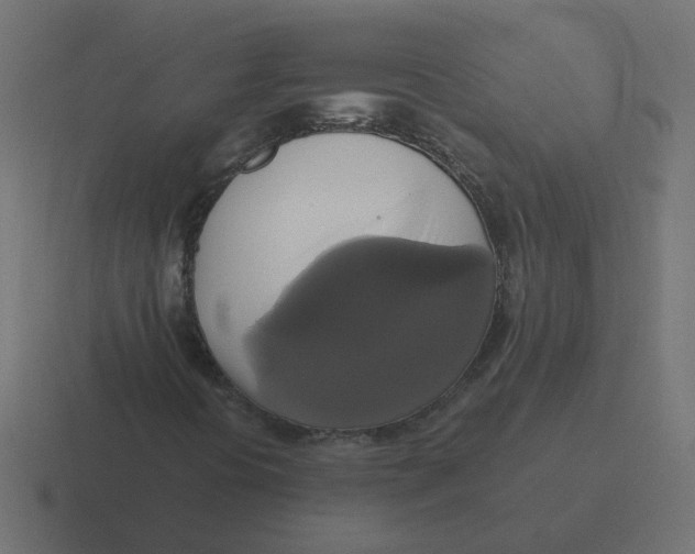 X0000116421394200912291839