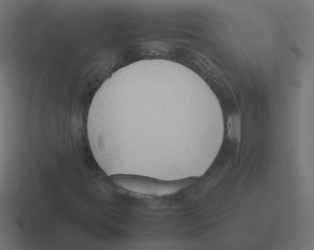 X0000116421395200912291839
