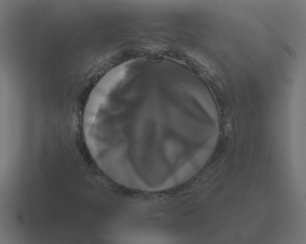X0000116421397200912291839