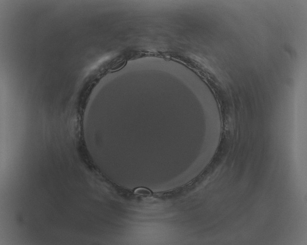 X0000116421398200912291839
