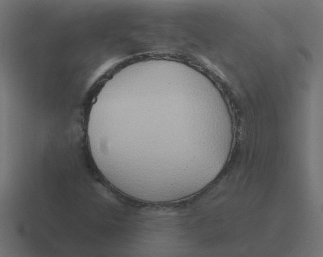 X0000116421400200912291839