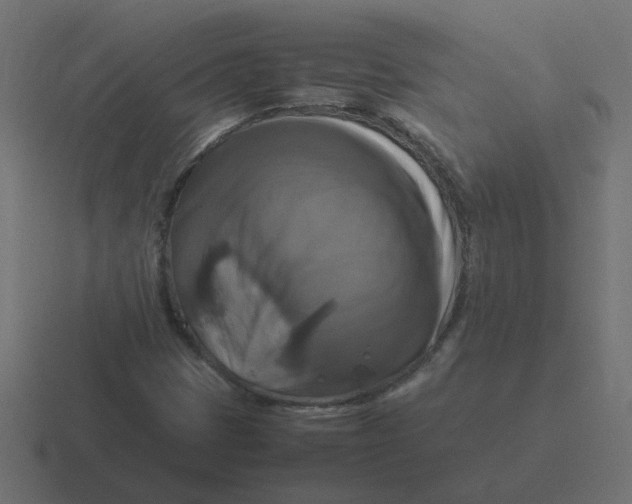 X0000116421401200912291839