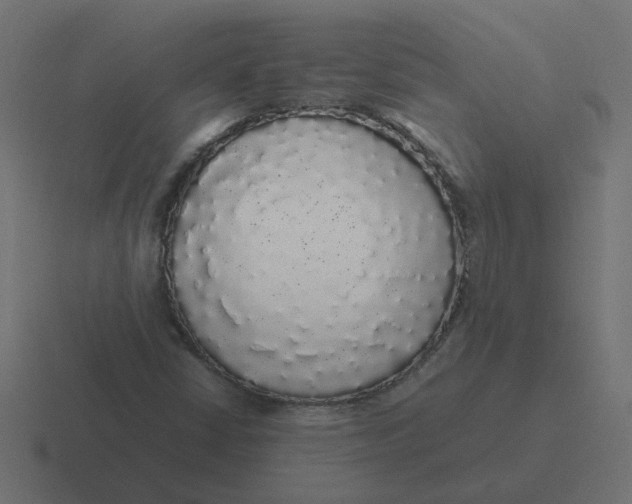 X0000116421402200912291840