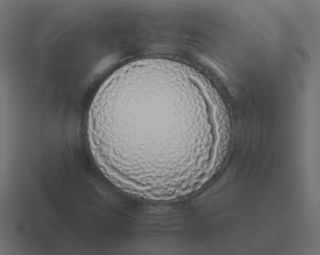 X0000116421403200912291840