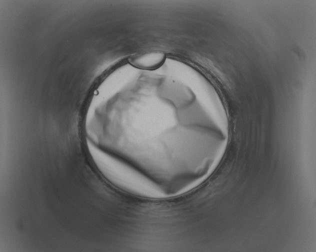 X0000116421404200912291840