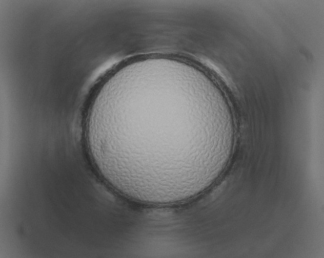 X0000116421406200912291840