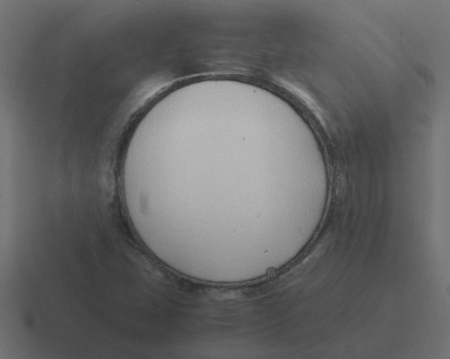 X0000116421407200912291840