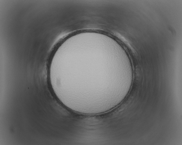 X0000116421408200912291840