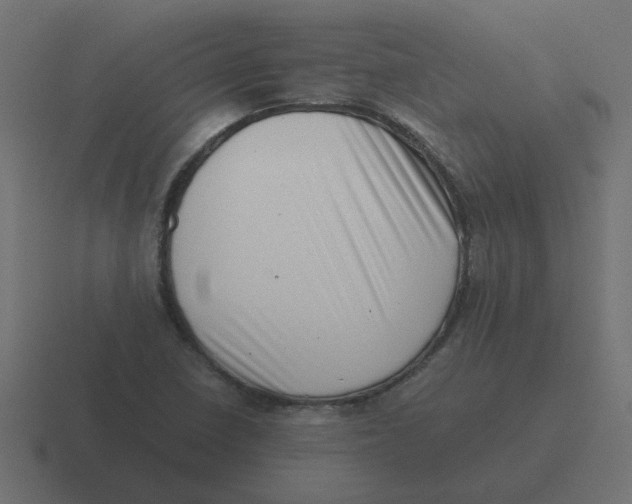 X0000116421410200912291840