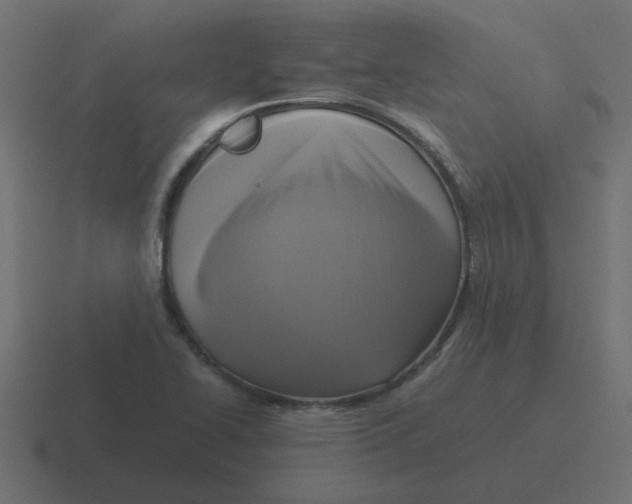 X0000116421414200912291840