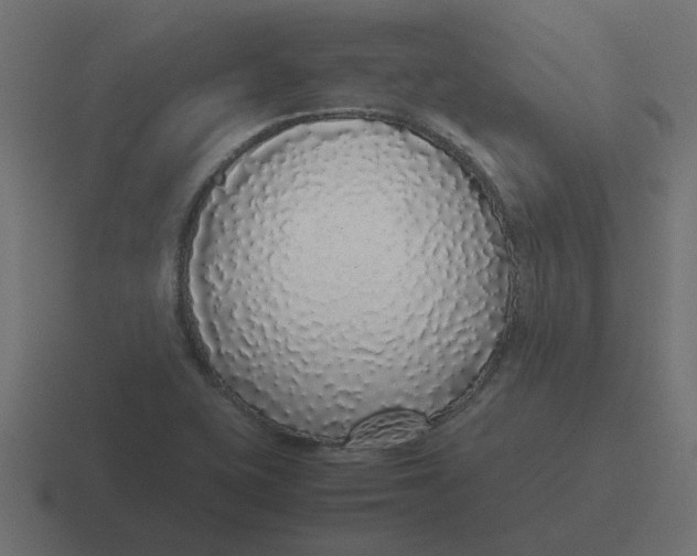X0000116421415200912291840