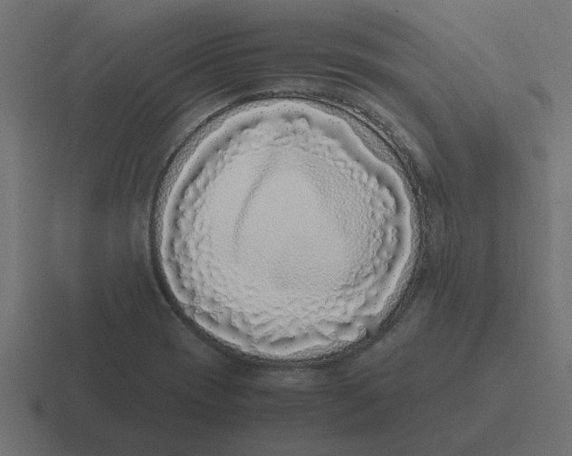 X0000116421417200912291840