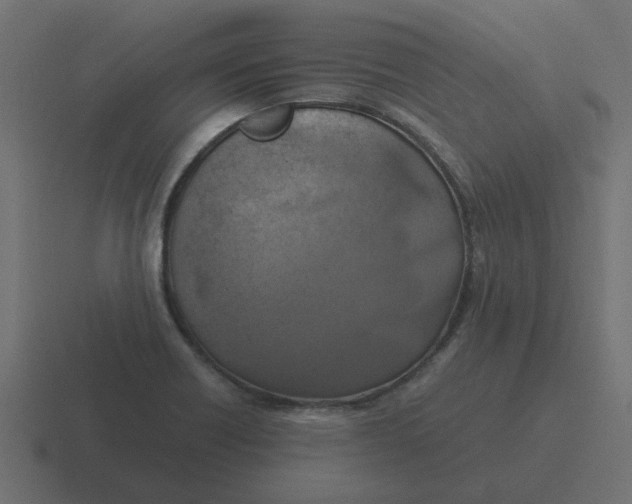 X0000116421418200912291840