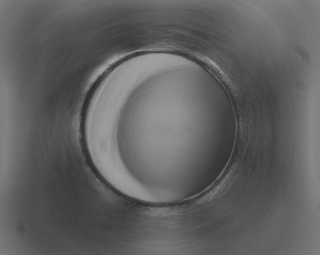X0000116421422200912291840