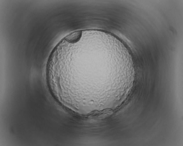 X0000116421423200912291840