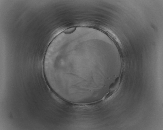 X0000116421425200912291840