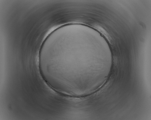 X0000116421428200912291840