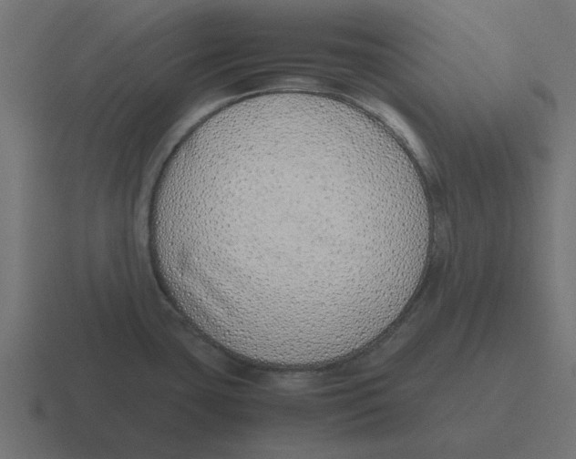 X0000116421435200912291840