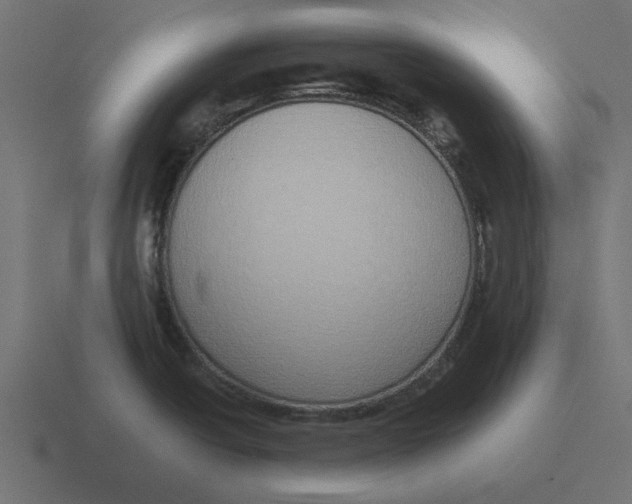 X0000116421438200912291840