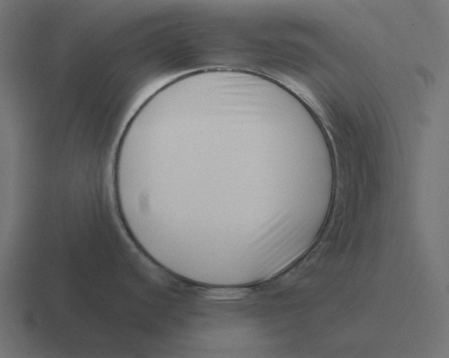 X0000116421440200912291840