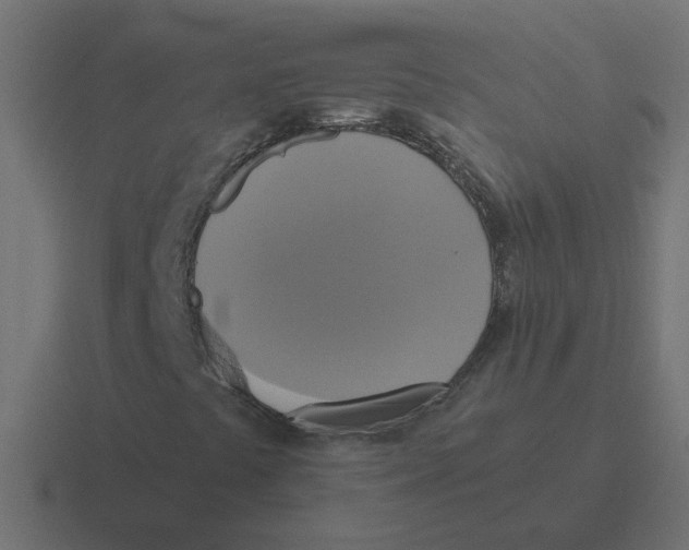 X0000116421441200912291839