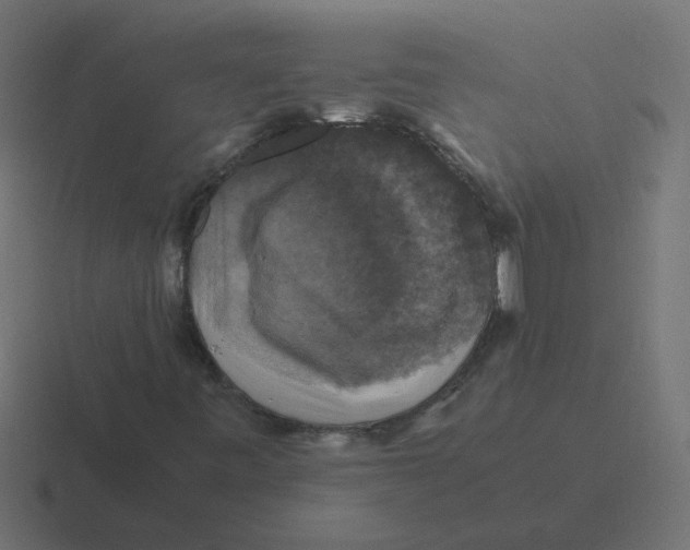 X0000116421443200912291839