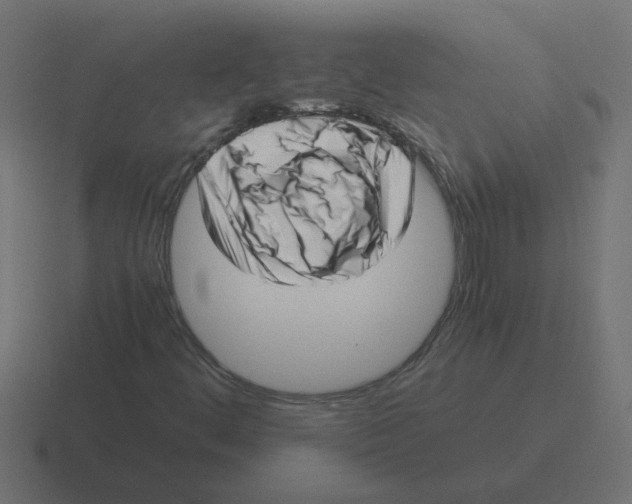 X0000116421444200912291839