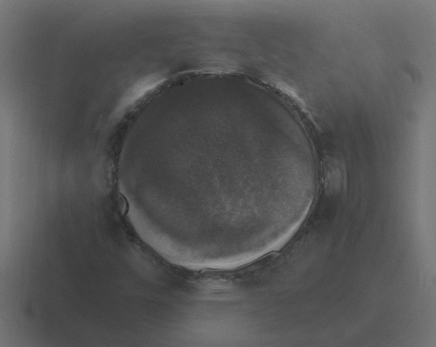 X0000116421448200912291839