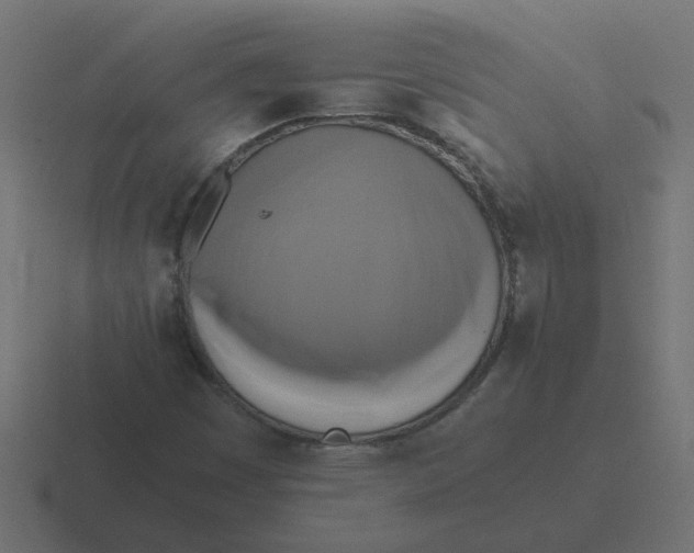 X0000116421449200912291839