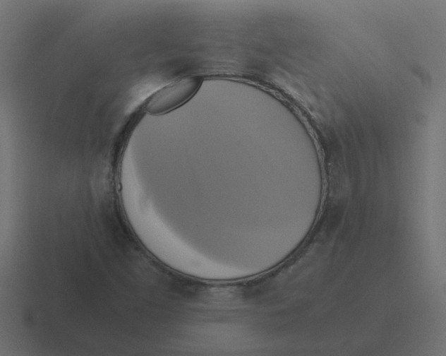 X0000116421453200912291839