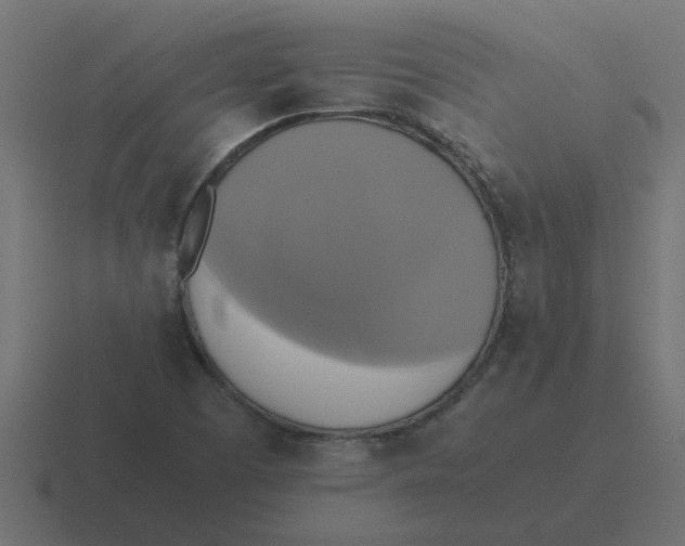 X0000116421457200912291839