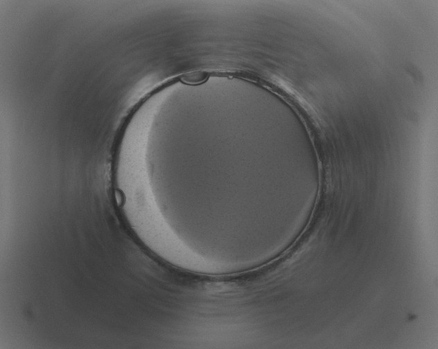 X0000116421459200912291839