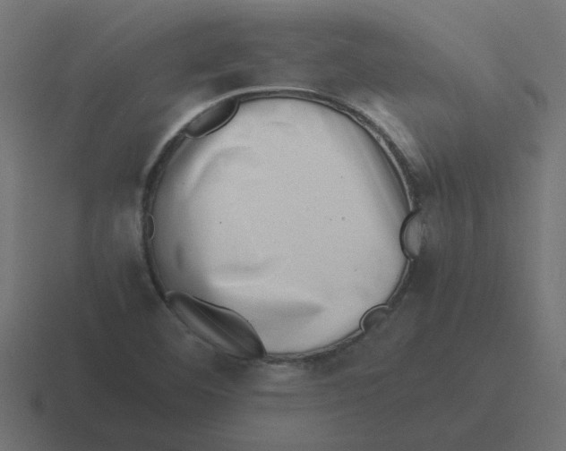 X0000116421460200912291839