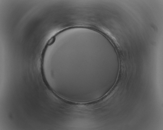 X0000116421463200912291839