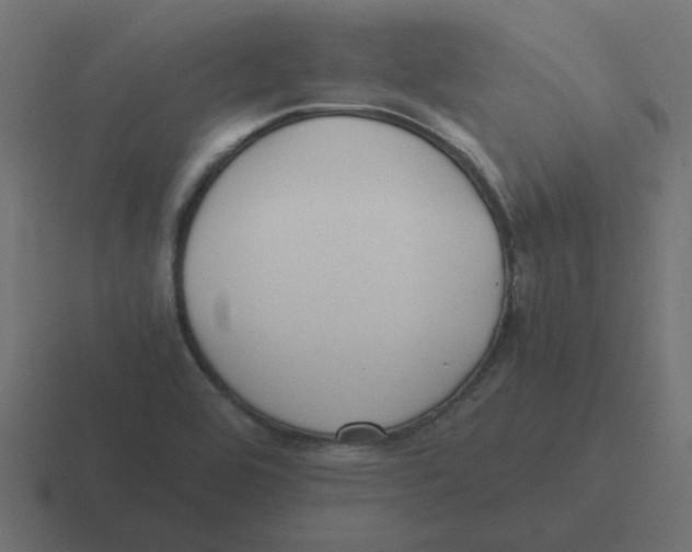 X0000116421464200912291839